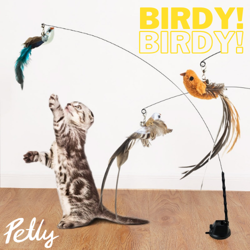 BIRDY© | צעצוע ציפור מרחפת לחתול